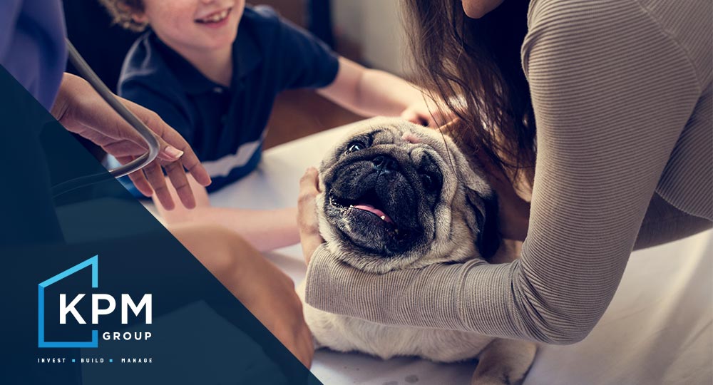 KPM Group - Property Management Blog - Ireland - Landlord Guide - Should You Allow Pets in a rented property?