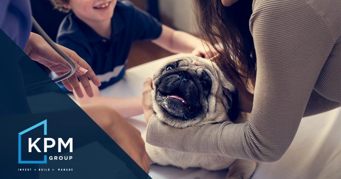 KPM Group - Property Management Blog - Ireland - Landlord Guide - Should You Allow Pets in a rented property?